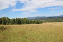 IMG_1112