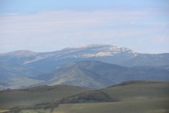 IMG_1113