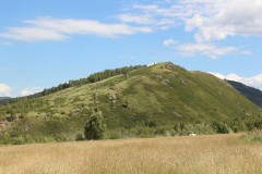 IMG_1115