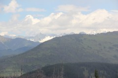 IMG_1187