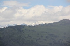 IMG_1189