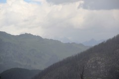 IMG_1190