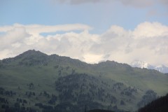 IMG_1192