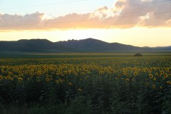 IMG_1202