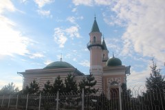 IMG_1233