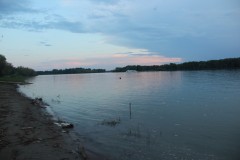 IMG_1258