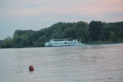 IMG_1259