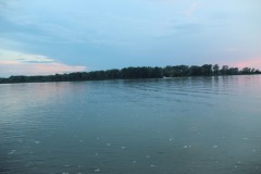 IMG_1264