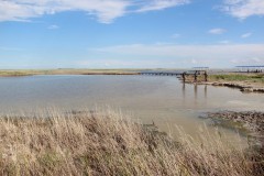 IMG_1311