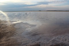 IMG_1323