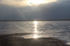 IMG_1324