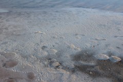 IMG_1327
