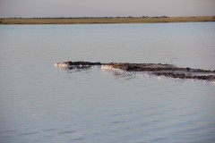 IMG_1328