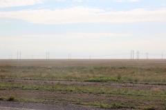 IMG_1335