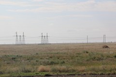 IMG_1336