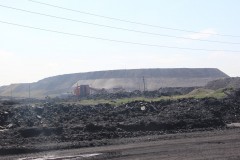 IMG_1345