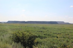 IMG_1347