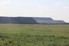 IMG_1348