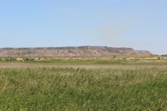 IMG_1349