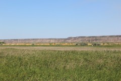 IMG_1350