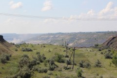 IMG_1351