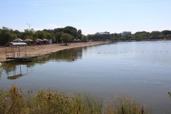 IMG_1411