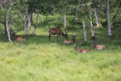 IMG_1461