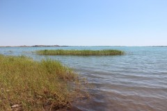 IMG_1486