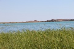 IMG_1489