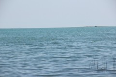 IMG_1492