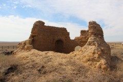 IMG_1555