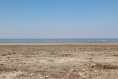 IMG_1869