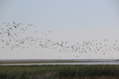 IMG_1875