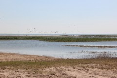 IMG_1877