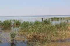 IMG_1883
