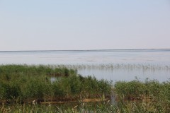 IMG_1886