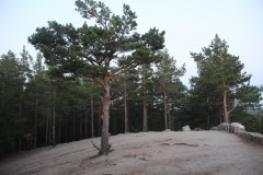 IMG_1919