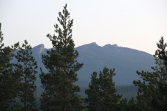 IMG_1920