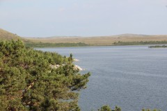 IMG_1937