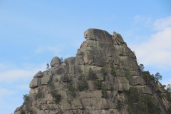 IMG_1945