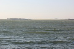 IMG_2010