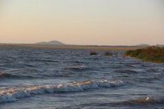 IMG_2014