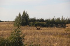 IMG_2086
