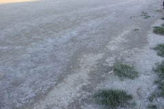 IMG_2109