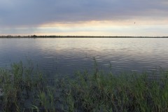 IMG_2133