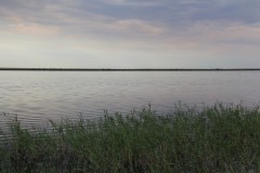 IMG_2134