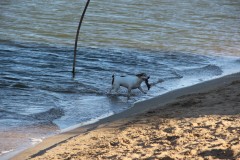 IMG_2201