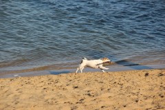 IMG_2203