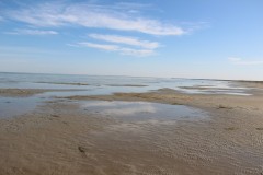 IMG_2206