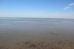 IMG_2207